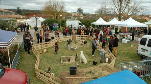 Foire au jardinage