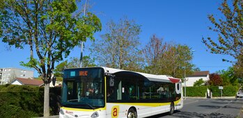 Réseau de bus Alliance